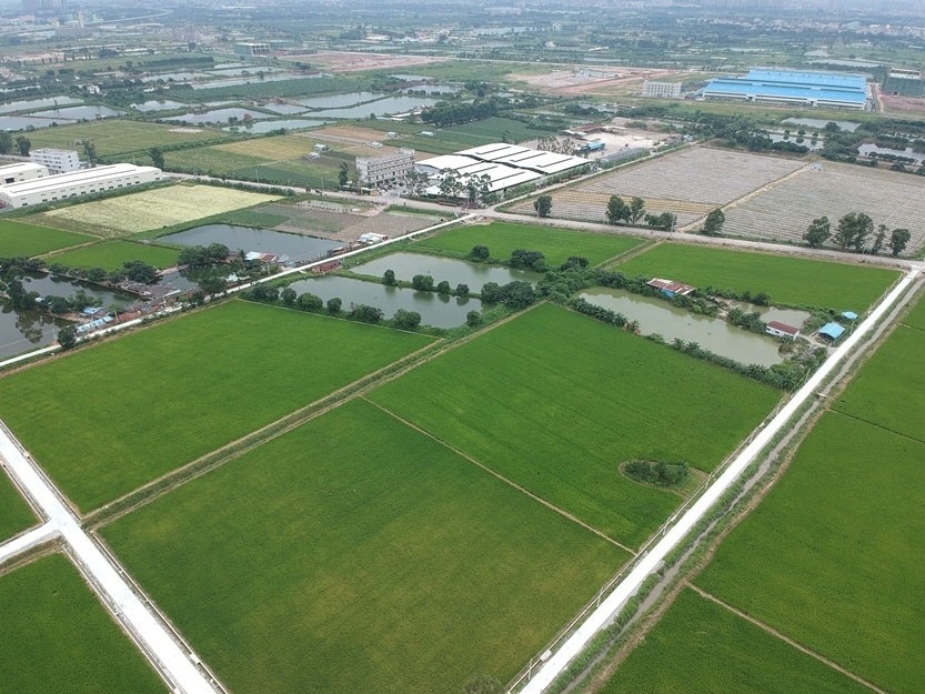 博羅縣石灣鎮(zhèn)鐵場村、白沙村現(xiàn)有耕地提質(zhì)改造項目